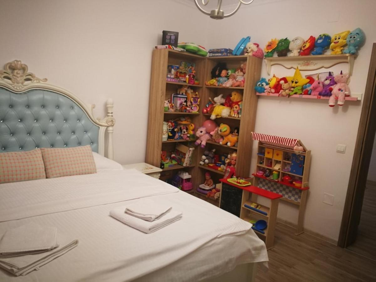 הוילה Sîntandrei Sia & Sophie 'S House מראה חיצוני תמונה