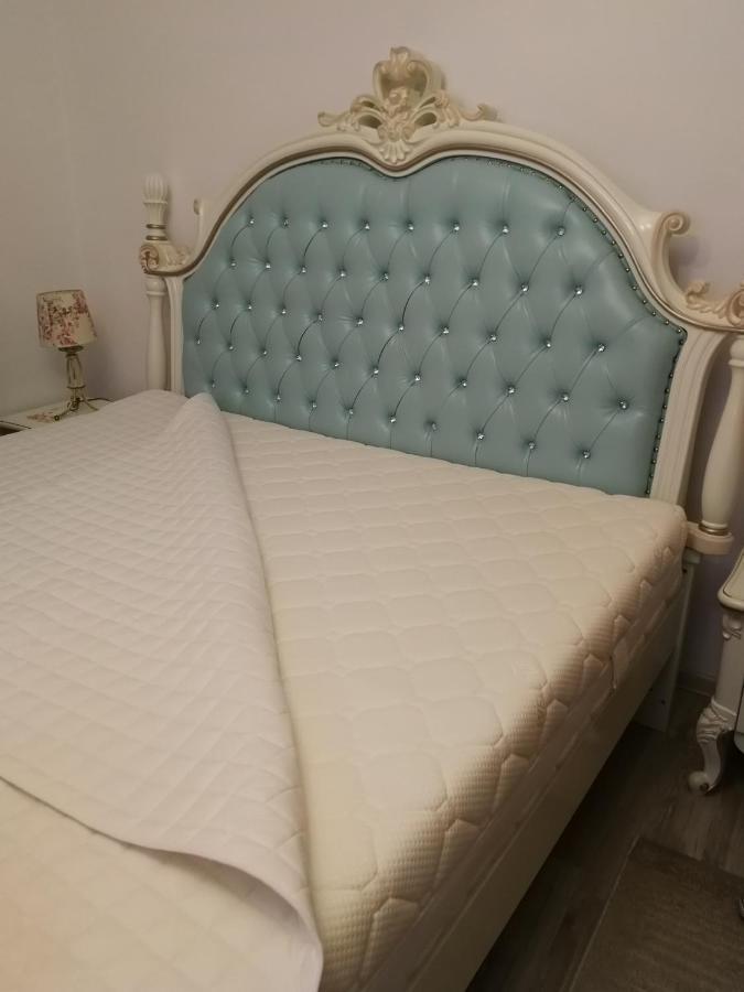 הוילה Sîntandrei Sia & Sophie 'S House מראה חיצוני תמונה