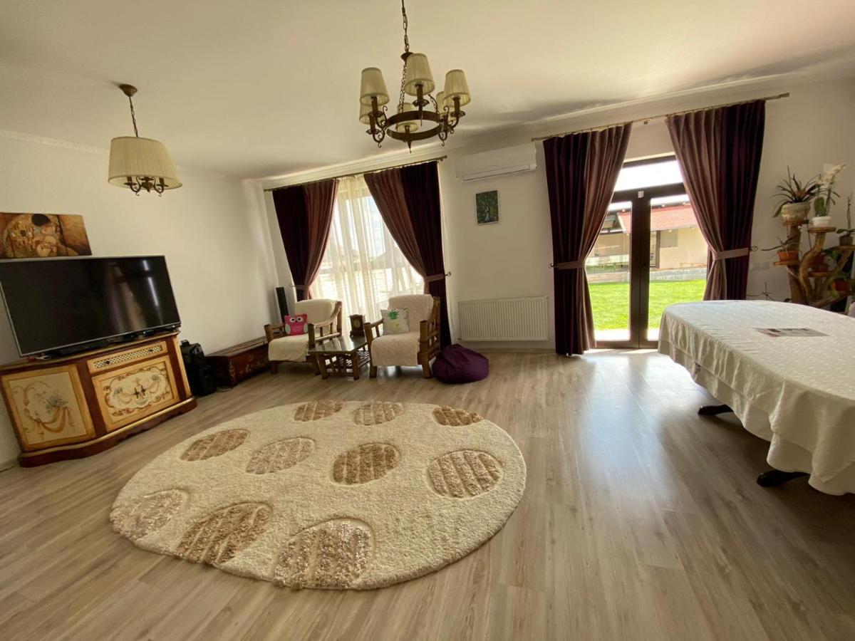 הוילה Sîntandrei Sia & Sophie 'S House מראה חיצוני תמונה