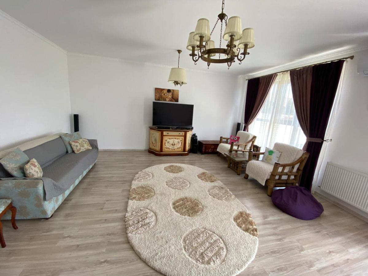 הוילה Sîntandrei Sia & Sophie 'S House מראה חיצוני תמונה