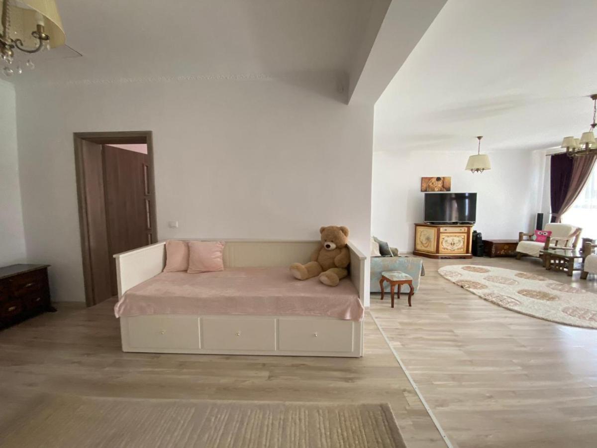 הוילה Sîntandrei Sia & Sophie 'S House מראה חיצוני תמונה