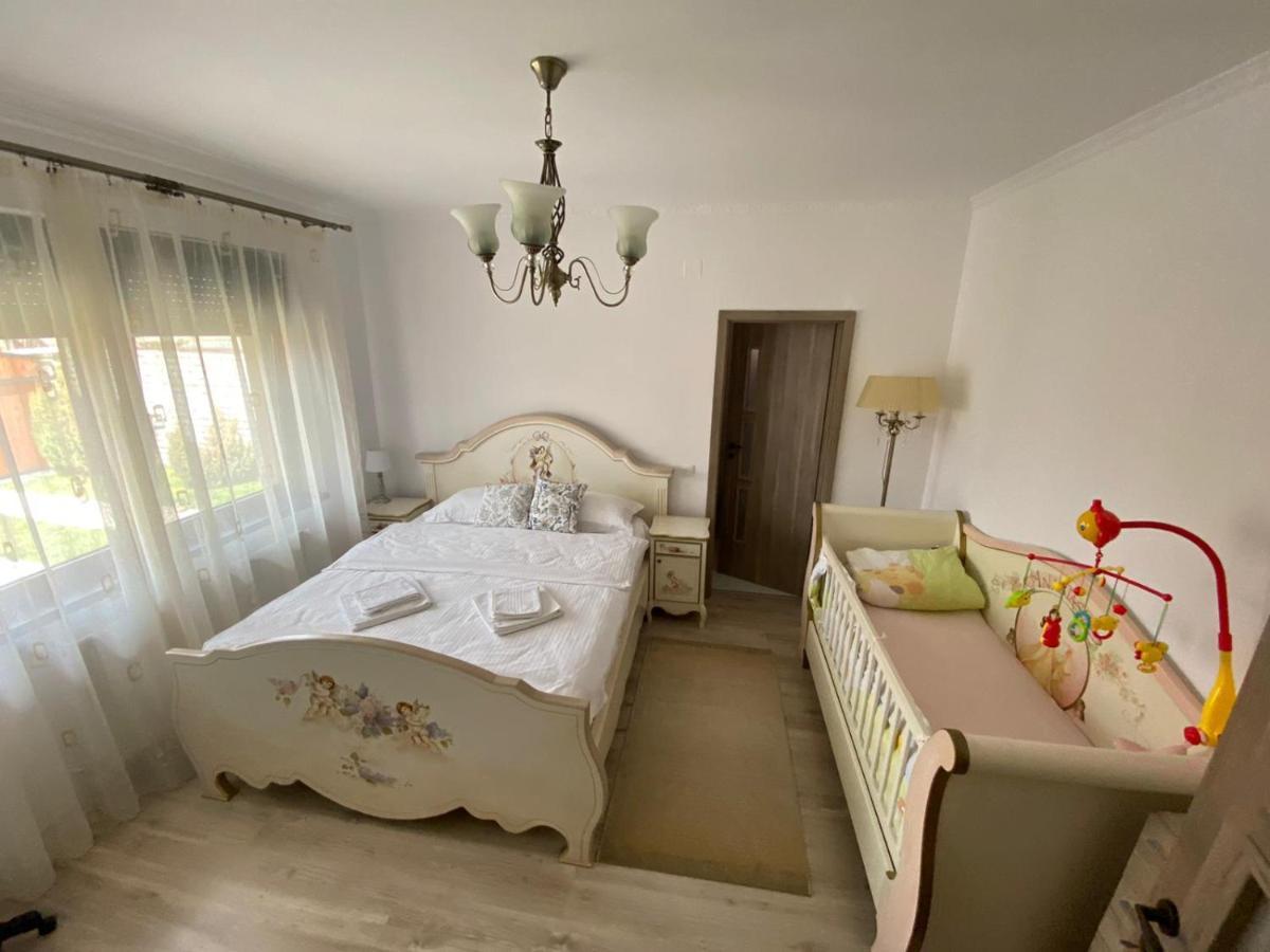 הוילה Sîntandrei Sia & Sophie 'S House מראה חיצוני תמונה