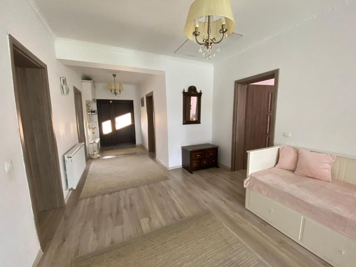 הוילה Sîntandrei Sia & Sophie 'S House מראה חיצוני תמונה