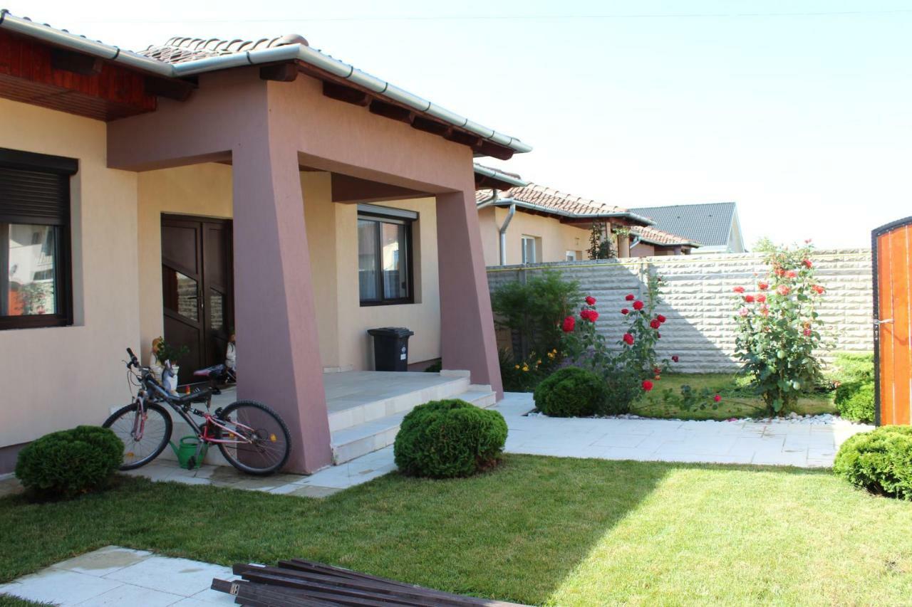 הוילה Sîntandrei Sia & Sophie 'S House מראה חיצוני תמונה