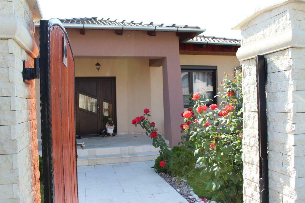 הוילה Sîntandrei Sia & Sophie 'S House מראה חיצוני תמונה