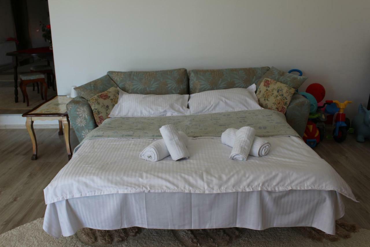 הוילה Sîntandrei Sia & Sophie 'S House מראה חיצוני תמונה