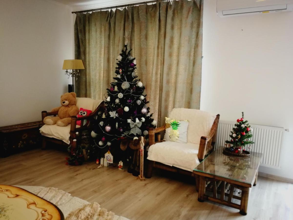 הוילה Sîntandrei Sia & Sophie 'S House מראה חיצוני תמונה